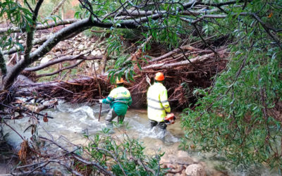 A Xunta executa actuacións de conservación e limpeza nos treitos interurbanos do río Mougás